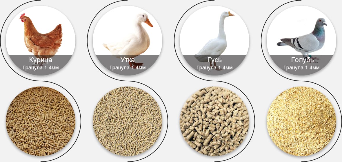Какой корм для домашней птицы вы хотите производить?