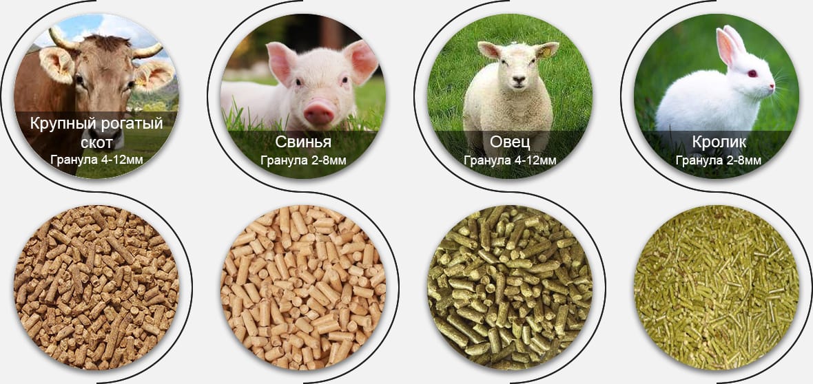 Какой корм для домашних скота вы хотите производить?