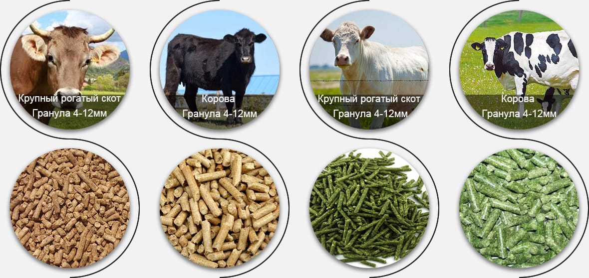 Какой корм для скота вы хотите производить?